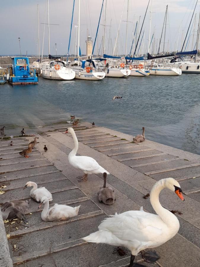 Villa Elisa Lago E Monti Carzago Riviera Esterno foto